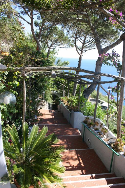 Hotel Villa Al Mare Барано-д'Иския Экстерьер фото
